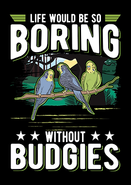 Bugdie Parakeet Cockatiel