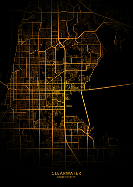 Clearwater City Map Gold