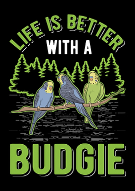 Bugdie Parakeet Cockatiel