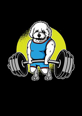 Bichon Frise Weightlifting