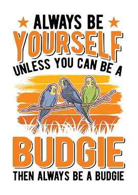 Budgie Gift Parakeet