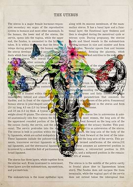 Uterus Flower Anatomy