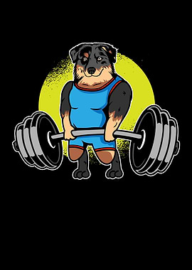 Australian Cattle Dog