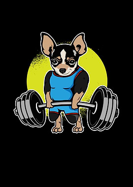 Chihuahua Weightlifting I