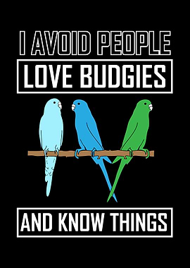 Budgie Budgeriga