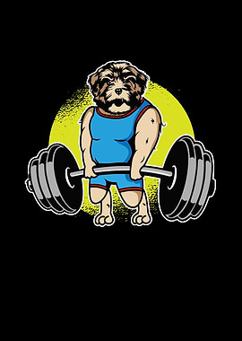 Havanese Weightlifting I