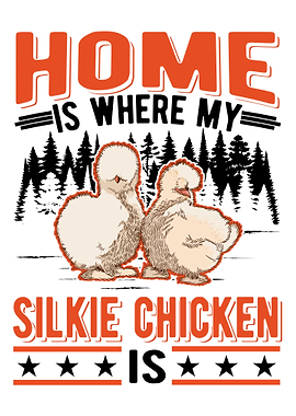 Silkie Chicken