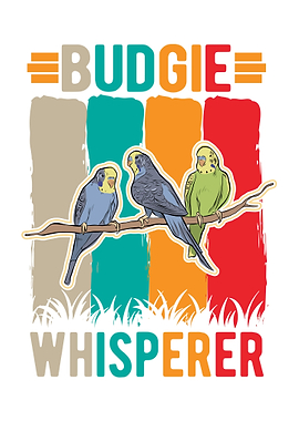 Budgie Gift Parakeet