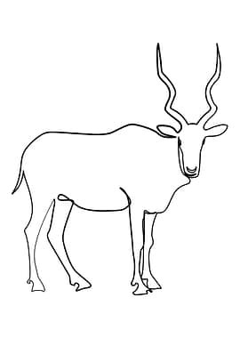 Animal One Line Art