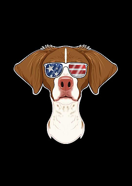 Brittany USA Sunglasses