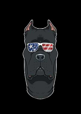Cane Corso USA Sunglasses