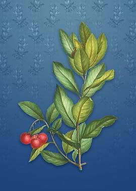 Vintage Strawberry Tree