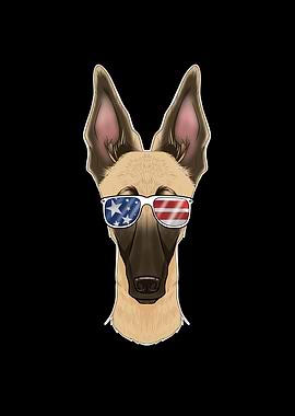 Malinois USA Sunglasses
