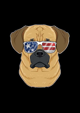 Puggle USA Sunglasses