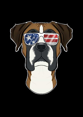 Boxer USA Sunglasses
