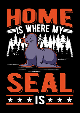 Seal Sea Lion