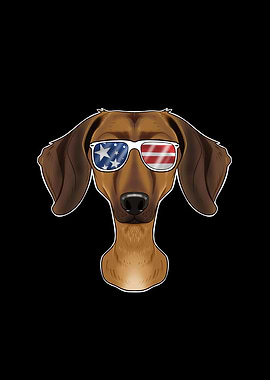 Dachshund USA Sunglasses