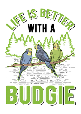 Bugdie Parakeet Cockatiel