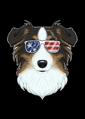 Australian Shepherd USA