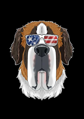 Saint Bernard USA