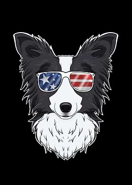 Border Collie USA