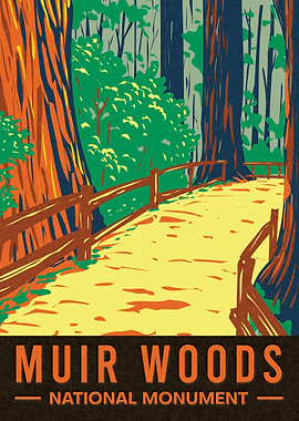 Muir Woods