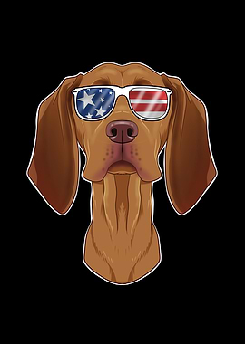 Vizsla USA Sunglasses