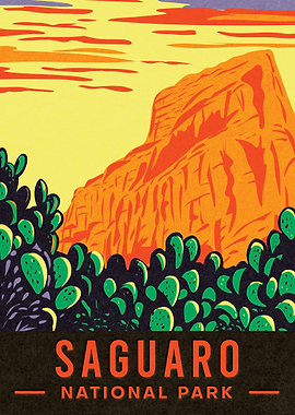 Saguaro National Park