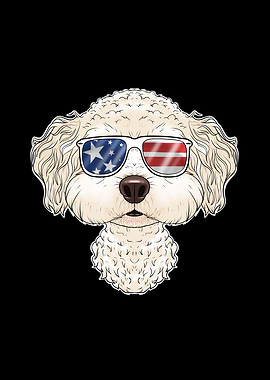 Bichon Frise USA