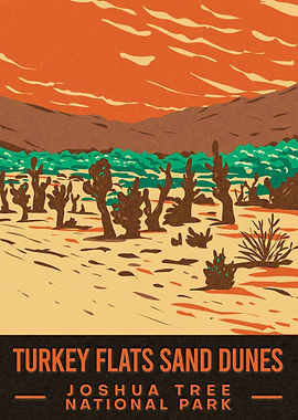 Turkey Flats Sand Dunes