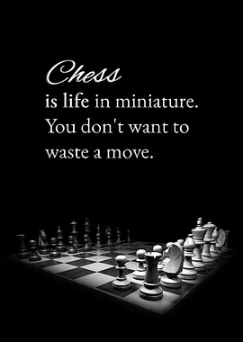 Chess and Life