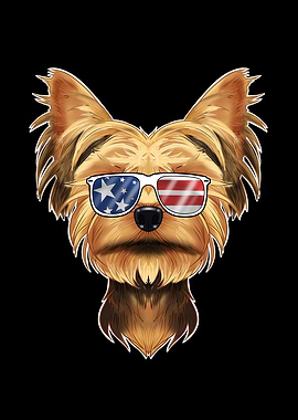 Yorkshire Terrier USA