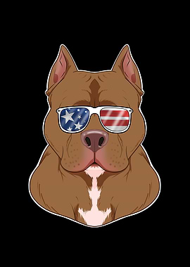 Pitbull USA Sunglasses