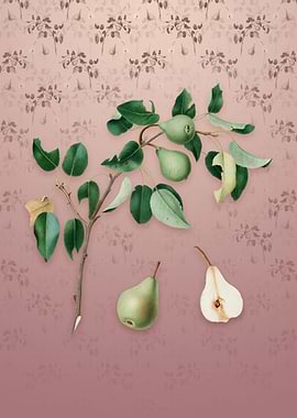 Vintage Pear on Dusty Pink