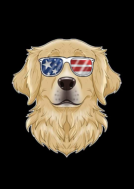 Golden Retriever USA