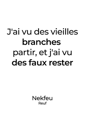 Nekfeu Poster