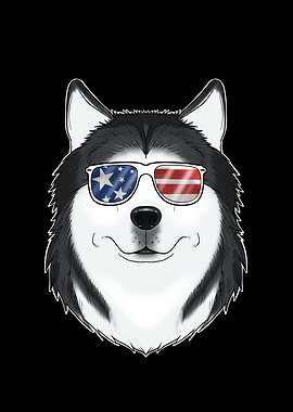 Husky USA Sunglasses I