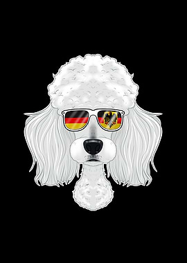 Poodle Germany Sunglasses