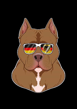 Pitbull Germany Sunglasses