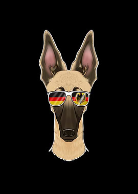 Malinois Germany
