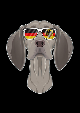 Weimaraner Germany