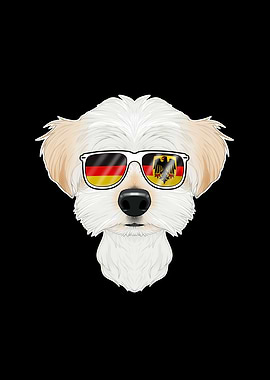 Maltese Germany Sunglasses