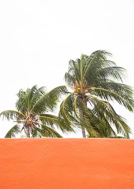 Orange meets Palm Trees 1