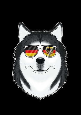 Husky Germany Sunglasses