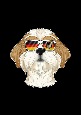 Shih Tzu Germany