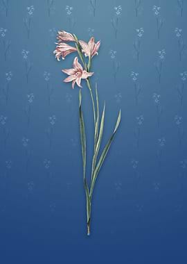 Vintage Painted Lady