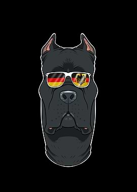 Cane Corso Germany