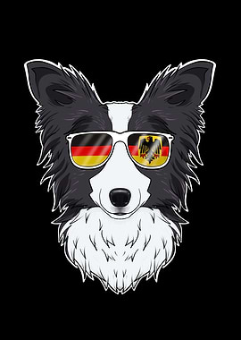 Border Collie Germany