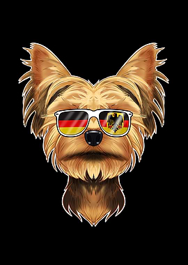 Yorkshire Terrier Germany