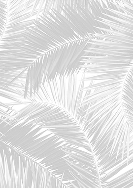 Palm Jungle Pattern 4 tr